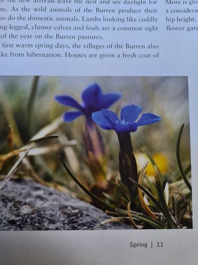 The Fertile Rock. Seasons In The Buren. By Carsten Kriegar.. Beautiful  Photographic  Seens Of The Buren. LARGE VOLUME BOOK.