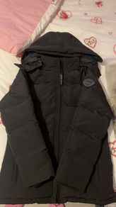 canada goose