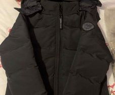 canada goose