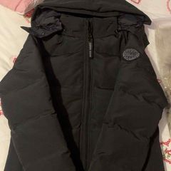 canada goose