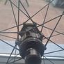 HUNT Sprint SL Disc Rear Hub + BRAND NEW Freehub Image 10