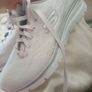 Skechers Image 5