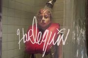Harlequin By Lady Gaga