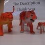 animals Image 6
