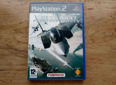 PS2 Ace Combat - Squadron Leader