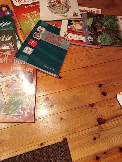 Primary / Gaelscoil books - various prices
