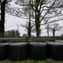 Baled silage for sale. Image 2