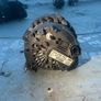 Alternator03L903023FSkodaVWGolfAudi Image 2