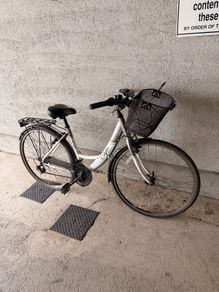 apollo elyse ladies bike