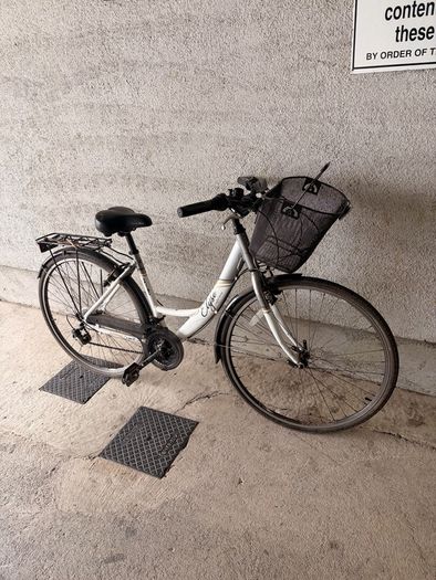 apollo elyse ladies bike
