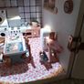 Dolls House Image 3