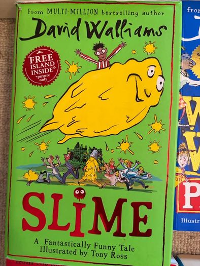 Various David Walliams Books