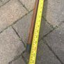 walking stick Image 2