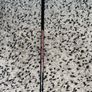 callaway ai smoke triple diamond driver Image 4