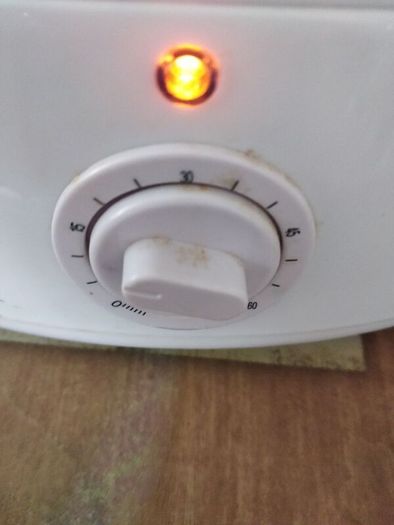 Electric steamer