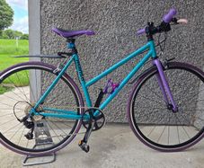 Mango Bicycle (Brand New)