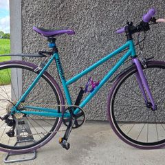 Mango Bicycle (Brand New)