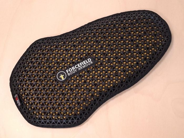 Forcefield Level 2 Back Protector
