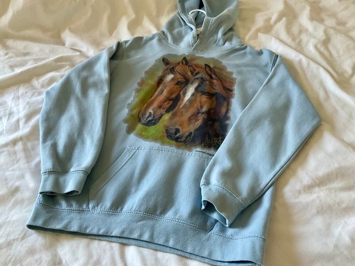 Lovely baby blue hoodie with horse motif Age 9 10