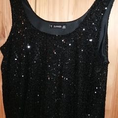 Dressy Top size 14