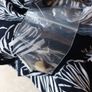 Mixed Bundle- Dresses X 2  S 12 New & Worn  1 Time. Image 7