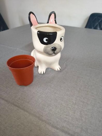 cute flowerpot