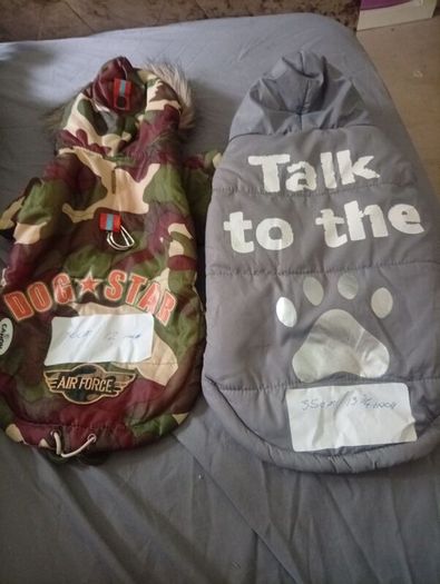 Dog accessories bundle