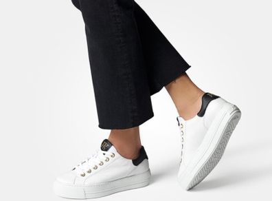 Paul Green Trainer New
