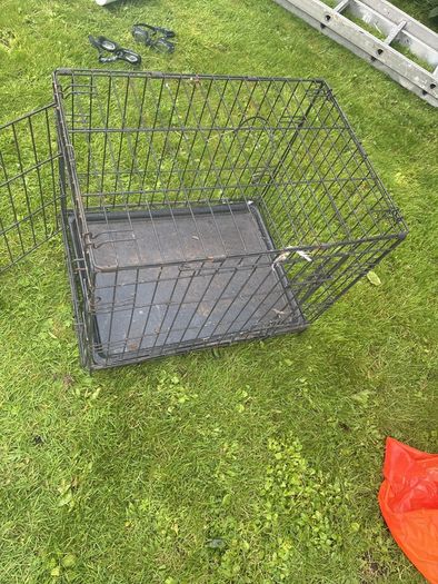Dog Cage