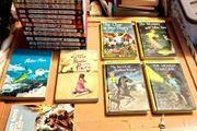 Joblot Eighteen Children's Books