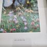 Small Framed Print Of Burren Ireland Image 3