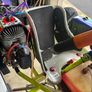 Championship Winning Synergy Bambino go Kart Image 7