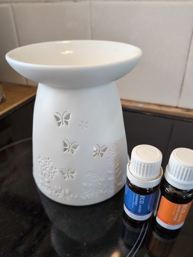 Incense Burner and Oils