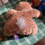 Paddington Bear & Paws patch Rabbit Image 8