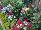 Gardener Image 9