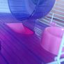 Hamster cage Image 3