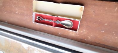 souvenir spoon