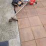 Weed eater Image 4