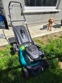 Briggs and Stratton