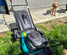 Briggs and Stratton