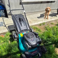 Briggs and Stratton