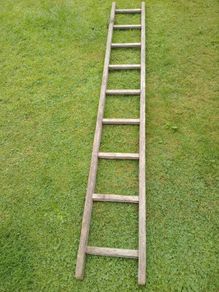 ladder
