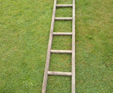 ladder