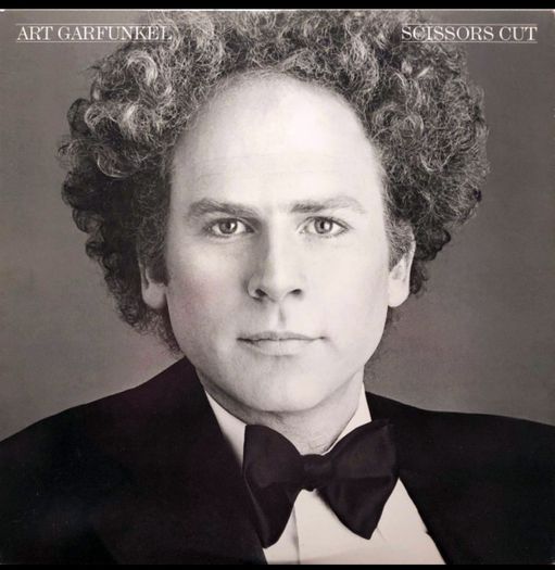 Art Garfunkel scissor cut vinyl lp