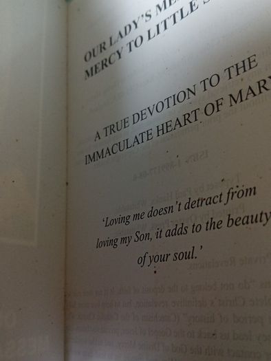 Our Ladys Message Of Mercy To The World