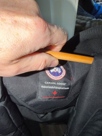 Canada Goose