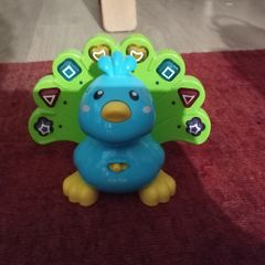 Playing bird