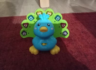 Playing bird
