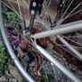 Bike Image 4