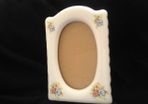 Donegal parian China frame.